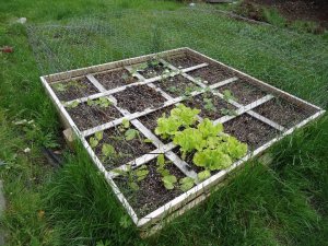 Sustainable Craig Square Foot Garden with plants