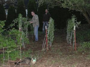Sustinable Craig Drinking Wine While Gardening Trellis
