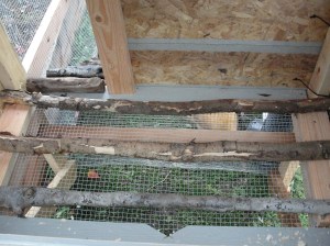 Chicken coop roosting bars
