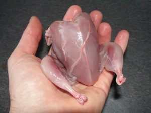 processed quail
