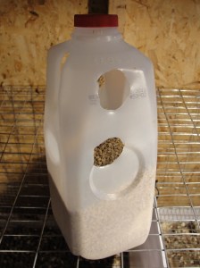 Quail Feeder Upright for Refill