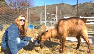 Julie feeding Admiral