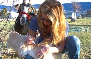 Julie immunization of baby goats