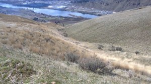 NAA Property Ravine for dam