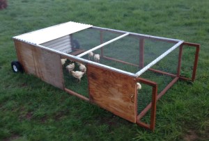 pastured poultry tractor 3