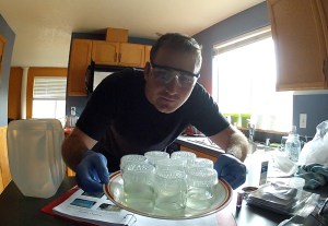 Tissue Culture in the Kitchen