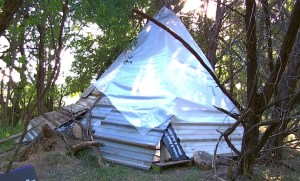 the human path urban shelter