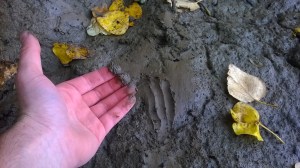 Craig clay river bank