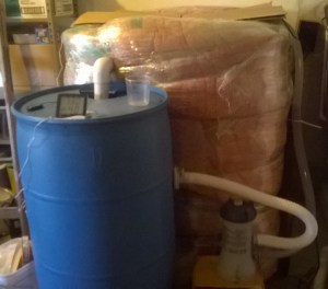 Craig's new fish tank