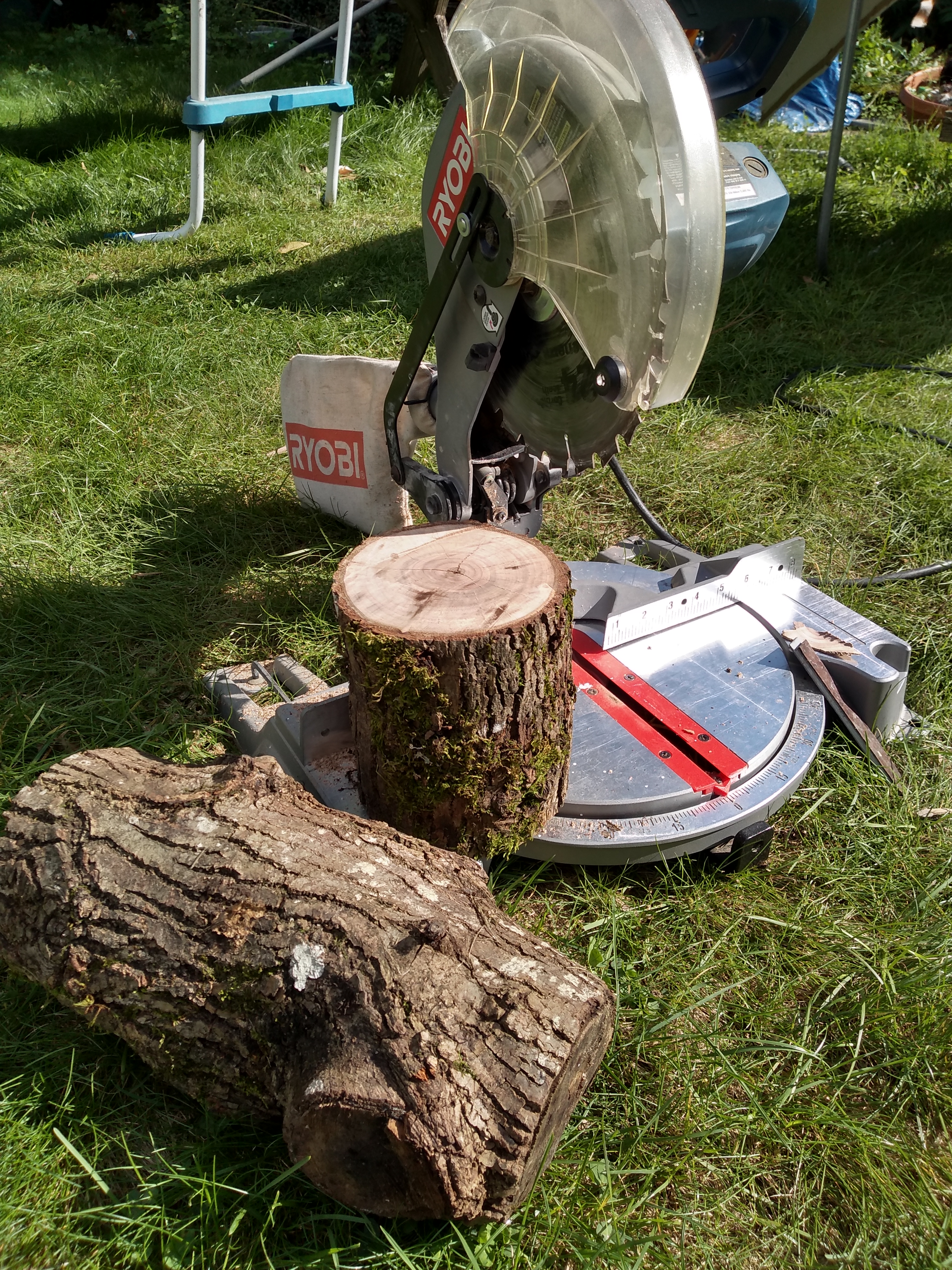 IMG_20190924_145021890_HDR